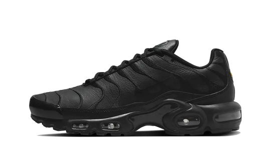 Nike Air Max Plus Triple Black Leather - AJ2029-001