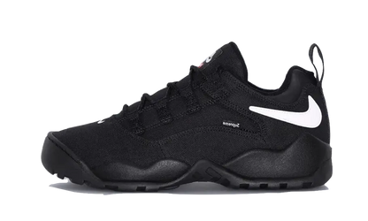 Nike SB Darwin Low Supreme Black - FQ3000-001
