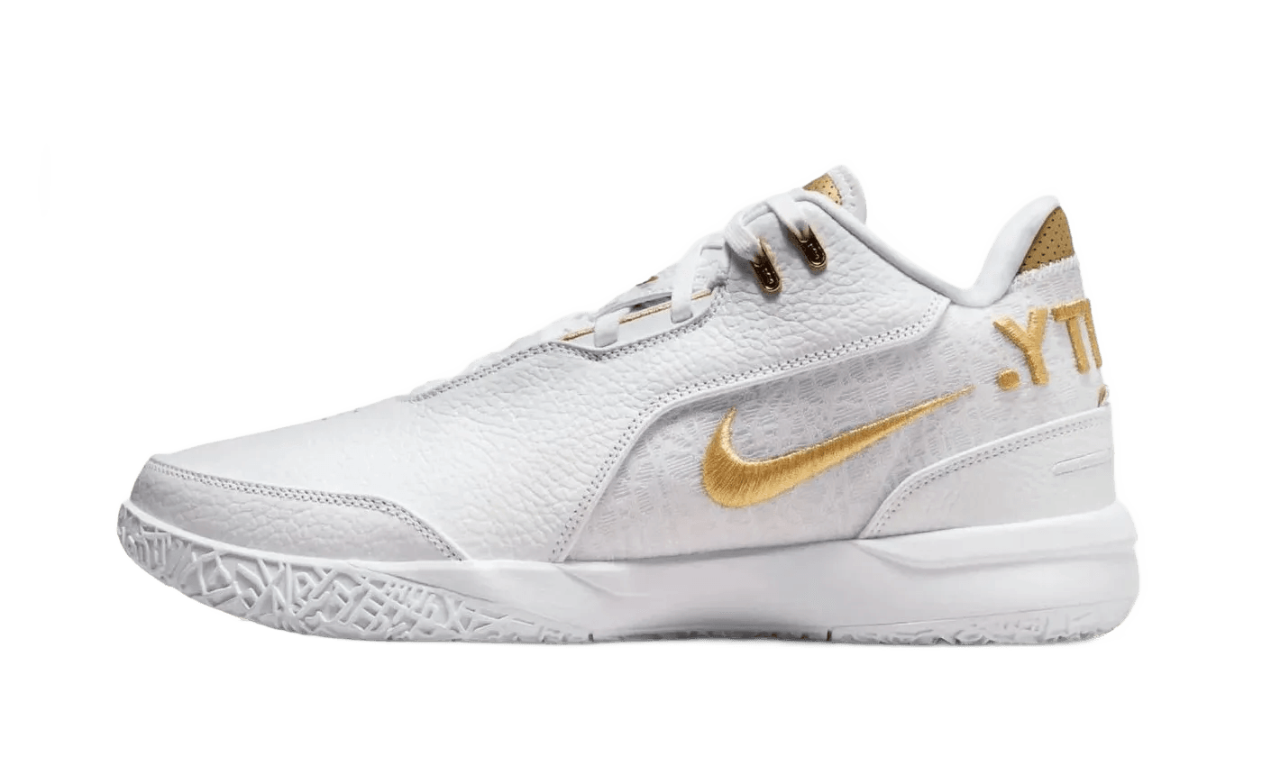Zoom LeBron NXXT Gen AMPD Equity - FJ1566-103