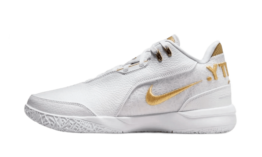 Zoom LeBron NXXT Gen AMPD Equity - FJ1566-103