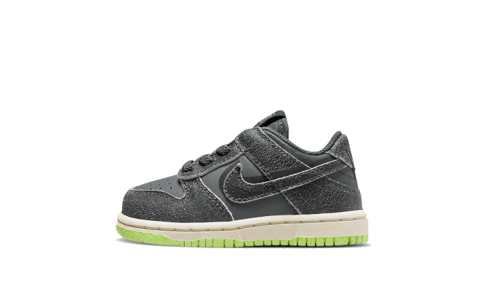 dunk-low-swoosh-shadow-iron-grey-bb-td-basketsold