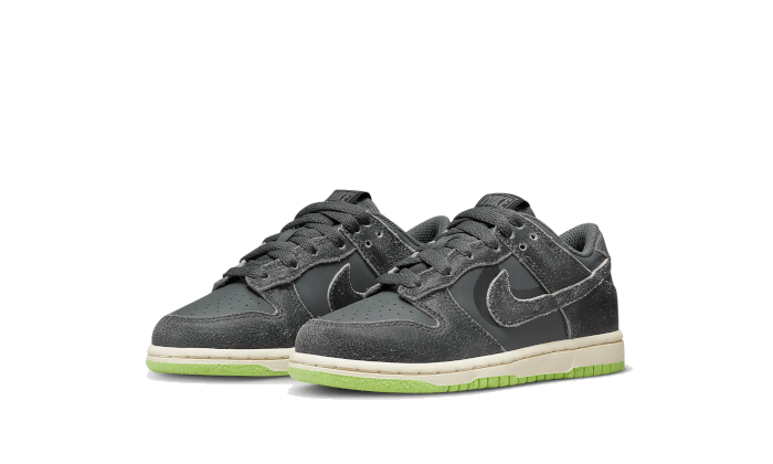 dunk-low-swoosh-shadow-iron-grey-enfant-ps-basketsold