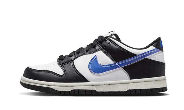 dunk-low-next-nature-tpu-swoosh-basketsold