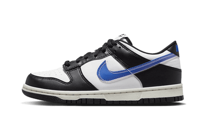 dunk-low-next-nature-tpu-swoosh-basketsold