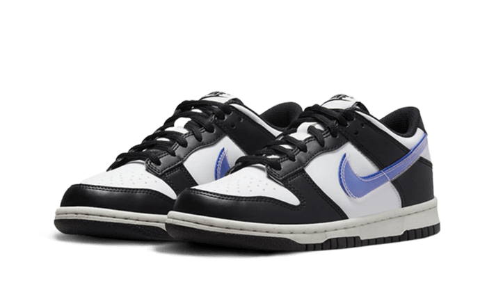 dunk-low-next-nature-tpu-swoosh-basketsold