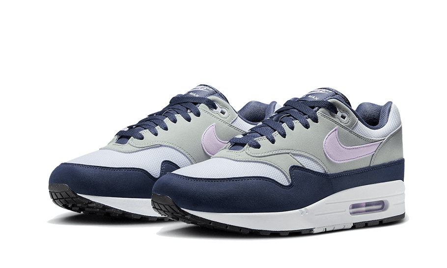 Nike Air Max 1 Thunder Blue - FD9082-001