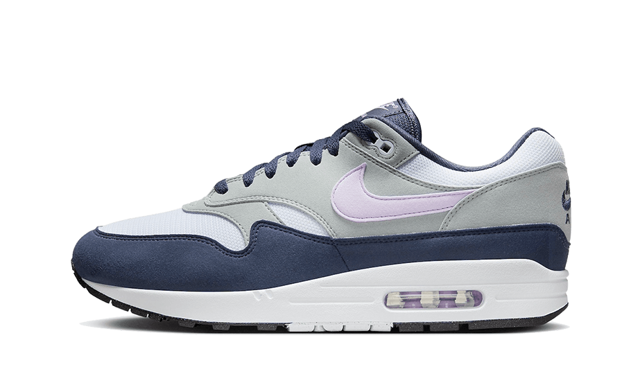 Nike Air Max 1 Thunder Blue - FD9082-001