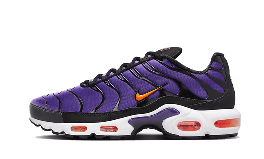 Nike Air Max Plus Voltage Purple - CD0609-024 / DX0755-500