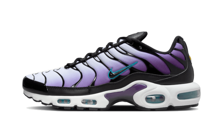 Nike Air Max Plus Reverse Grape - FQ2415-500