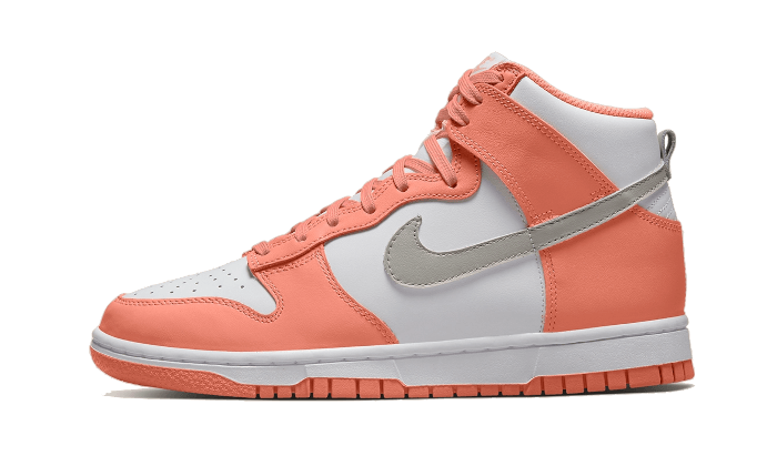 dunk-high-salmon-grey-basketsold