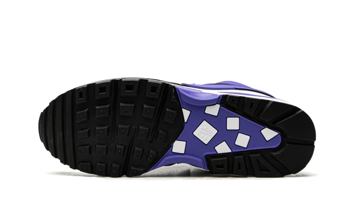 air-max-bw-persian-violet-basketsold