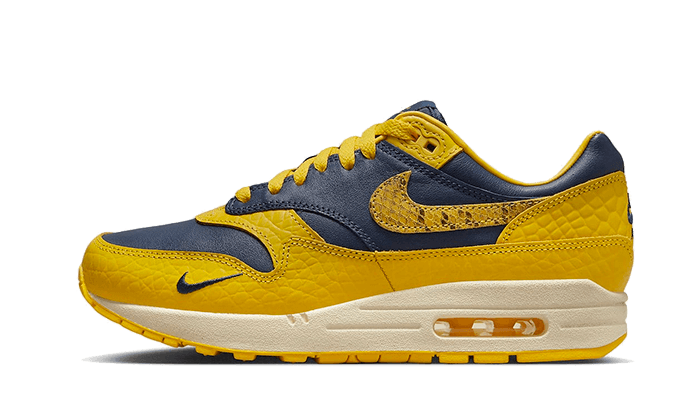 air-max-1-cojp-michigan-basketsold