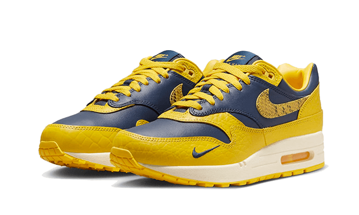 air-max-1-cojp-michigan-basketsold