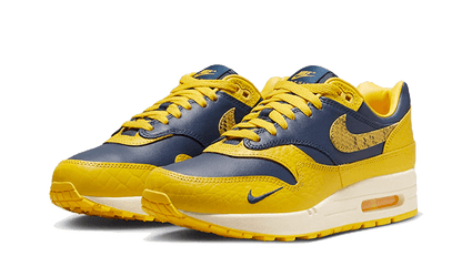 air-max-1-cojp-michigan-basketsold