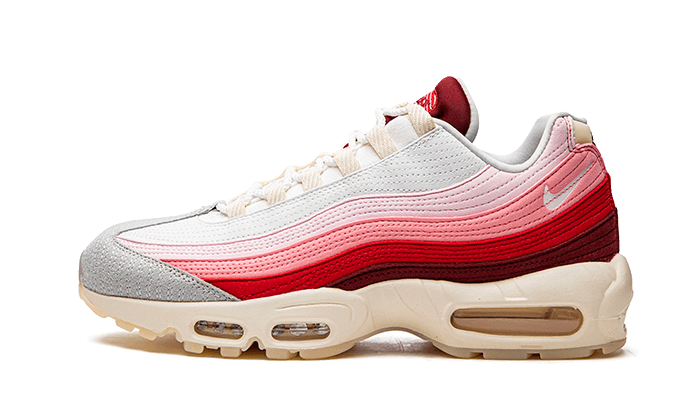 air-max-95-anatomy-of-air-basketsold