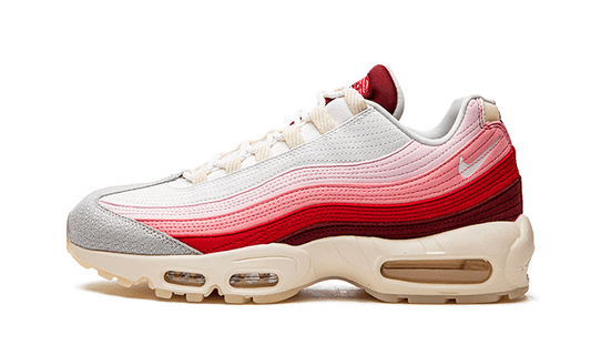 air-max-95-anatomy-of-air-basketsold