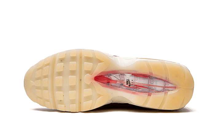 air-max-95-anatomy-of-air-basketsold