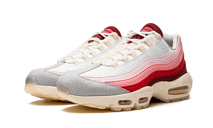 air-max-95-anatomy-of-air-basketsold