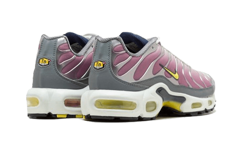 air-max-plus-violet-dust-basketsold