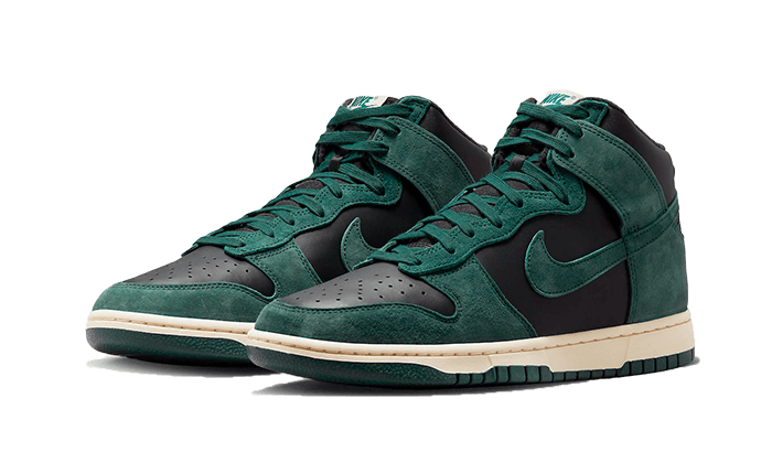 dunk-high-retro-prm-faded-spruce-basketsold