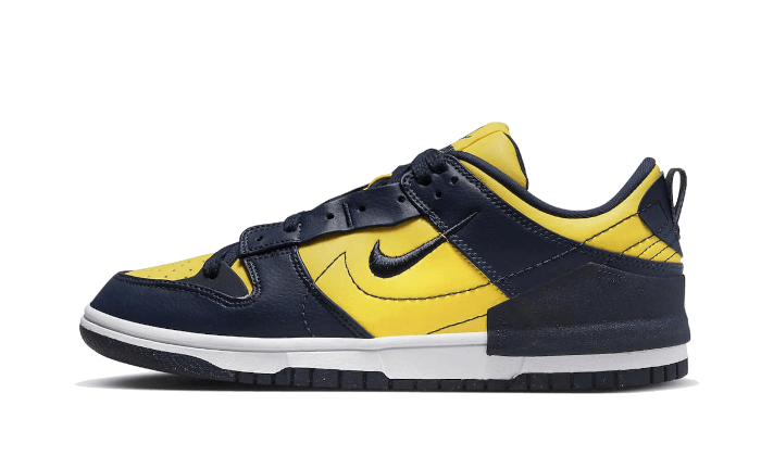 dunk-low-disrupt-2-michigan-basketsold