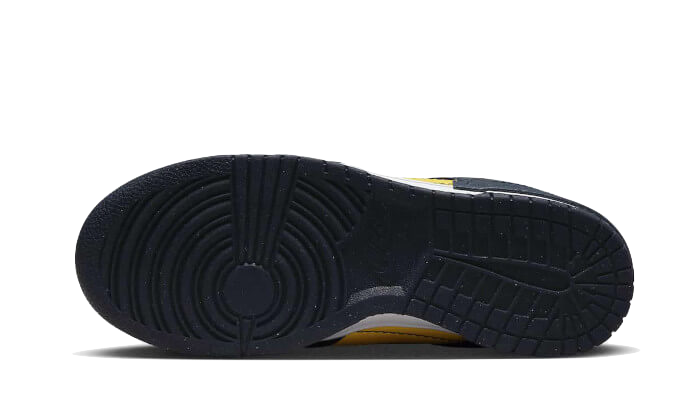 dunk-low-disrupt-2-michigan-basketsold