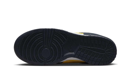 dunk-low-disrupt-2-michigan-basketsold