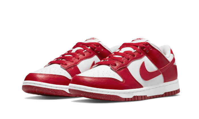 dunk-low-next-nature-gym-red-basketsold