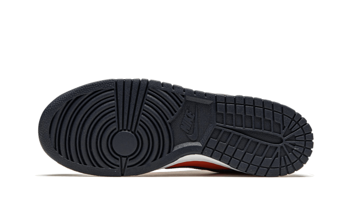 dunk-low-sp-champ-colors-basketsold