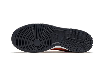 dunk-low-sp-champ-colors-basketsold