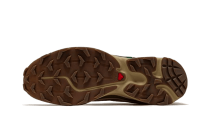 xt-6-rubber-lizard-basketsold